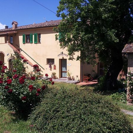 A Casa Di Lizzy B&B Monte Lopio 외부 사진